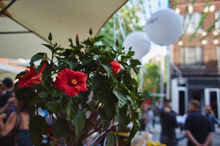 20170522_lapetitetouche_25anssaloon_ambiance_bg_4335